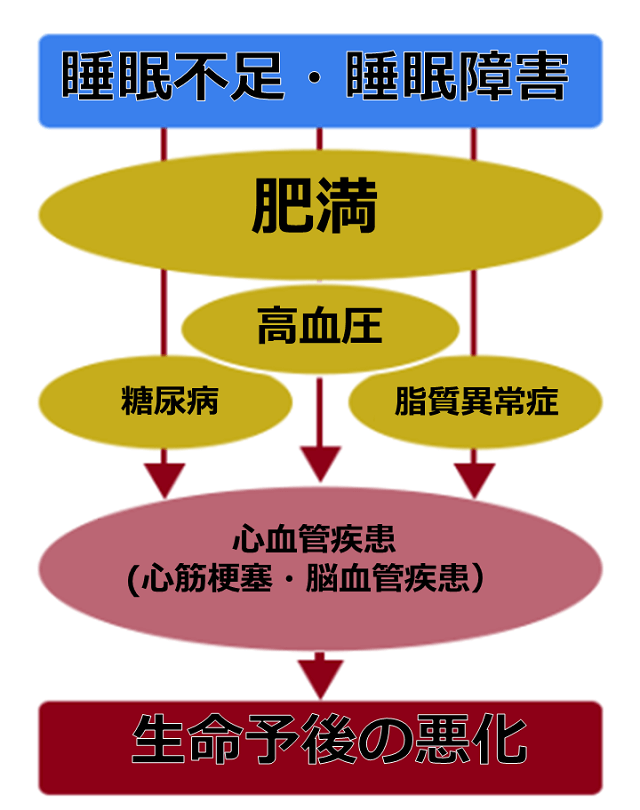 図1：睡眠不足・睡眠障害が生活習慣病の発症につながることを示す図。