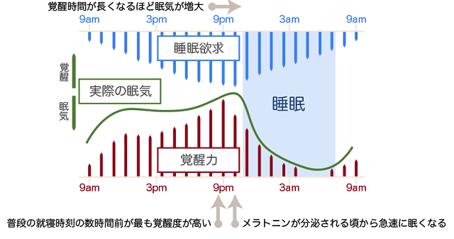 図1：睡眠のメカニズムを示す図。日中は覚醒力がたかまり、就寝時間近辺になると睡眠欲求がたかまり睡眠することをあらわす
