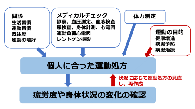 図1:運動処方の手順を示す図。運動処方を行う前に、生活習慣や運動習慣、既往歴などについての問診と、メディカルチェック、体力測定を実施します