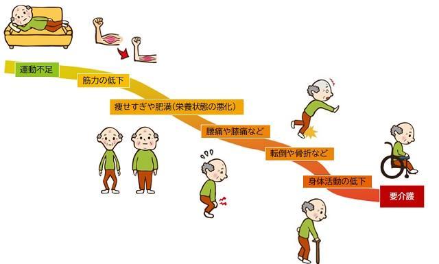 図1:フレイルの進行の過程を表す図。