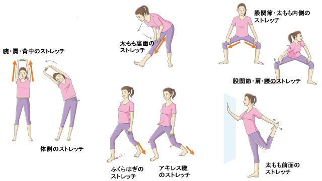図2：インターバル速歩の前後に行うストレッチの種類とストレッチする部位を示すイラスト。腕・肩・背中のストレッチと、股関節および大腿部のストレッチがあることを示す。
