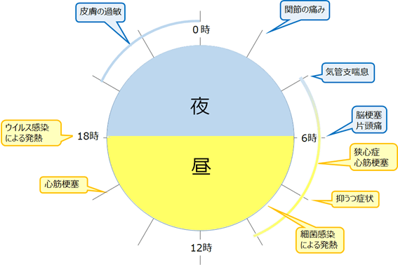 図2：疾患や病態の日内変動を示した図