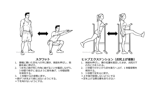 図2：筋力トレーニングの例。スクワットとお尻上げ運動