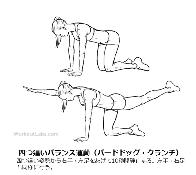 図3:四つ這いバランス運動(バードドッグ・クランチ)のやり方を示す図