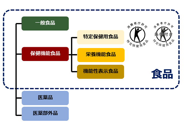 図4：食品の分類を示す図。食品は大きく分けると一般食品と機能性の表示ができる保健機能食品の2つに分類される。