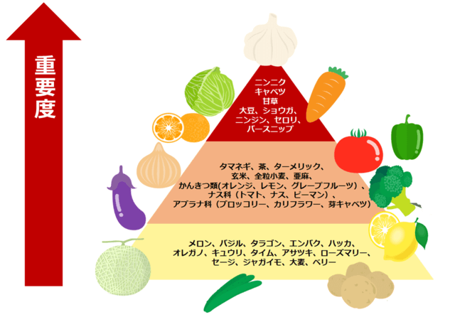 図1：がん予防に効果のある食品群をしめすデザイナーフーズ・ピラミッド。がん予防のある食品の頂点はにんにく