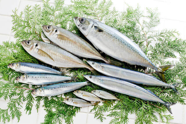 心臓病（心筋梗塞・狭心症など）の予防になる食べ物のDHAやEPAなどの不飽和脂肪酸を多く含む青魚の写真。
