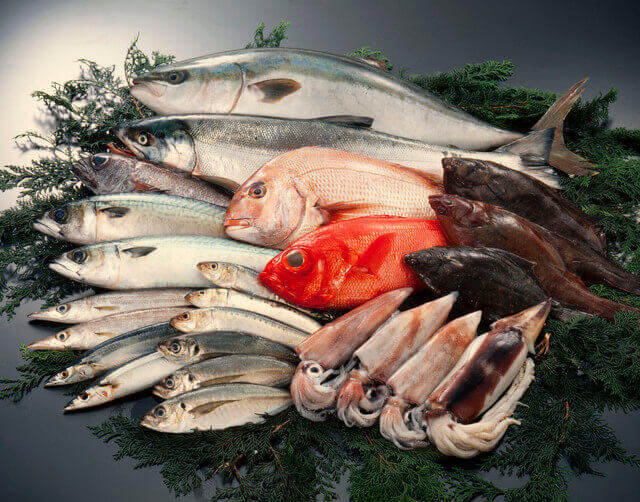 銅を多く含む食品のイカを含む魚介類の写真。