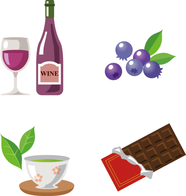 ポリフェノールを多く含む食品である赤ワイン・ブルーベリー・緑茶・チョコレートを表すイラスト。ポリフェノールとは、ほとんどの植物に存在する苦味や色素の成分です。いろいろな種類があり抗酸化作用が強く、活性酸素など有害物質を無害な物質に変える作用があり、人への健康効果も様々です。