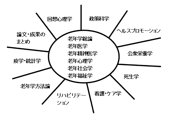 図：桜美林大学老年学修士課程の学際的なカリキュラムを表す図。老年学総論、老年医学、老年精神医学、老年心理学、老年社会学、老年福祉学を中心に、回想心理学、政策科学、ヘルスプロモーション、公衆栄養学、死生学、看護・ケア学、リハビリテーション、老年学方法論、疫学・統計学、論文・成果のまとめが関わる。