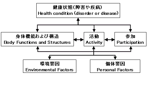 図1：国際生活機能分類の構成要素間の相互関連モデル