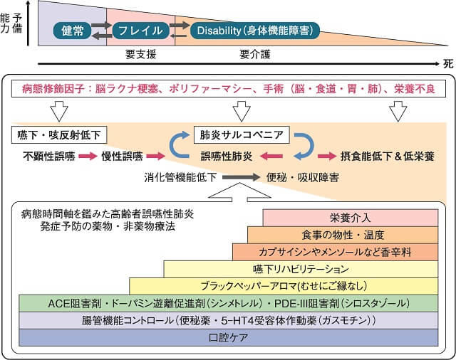 図1:病態時間軸に沿った高齢者誤嚥性肺炎発症予防の薬物療法と非薬物療法の関連を示す図。