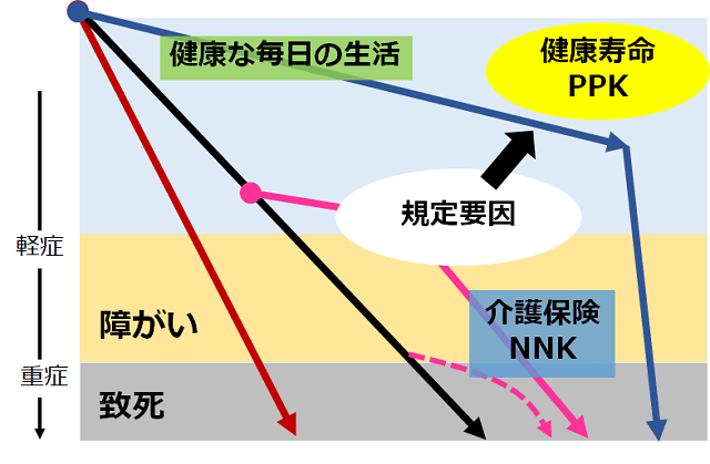 図1:ネンネンコロリとピンピンコロリの軽傷・障害・致死の時間の違いを示す図。