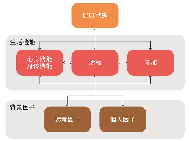 図1：ICFによる生活機能を示す図。背景因子には環境因子と個人因子、生活機能は心身機能・身体機能、活動、参加の要素が含まれる。