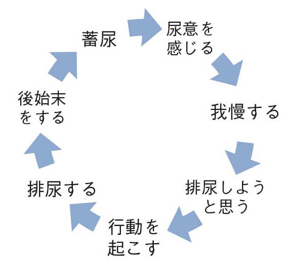 図1：畜尿から後始末をするまでの排尿サークルを表す図。