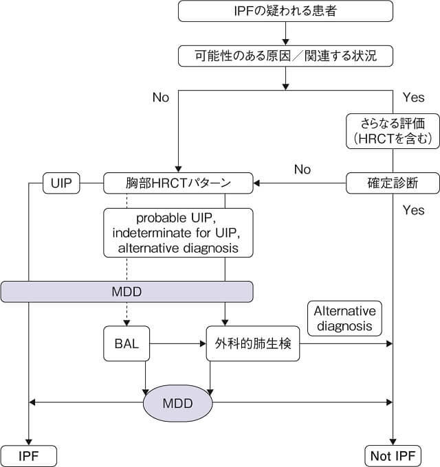 図：IPF診断のアルゴリズムを表す図。