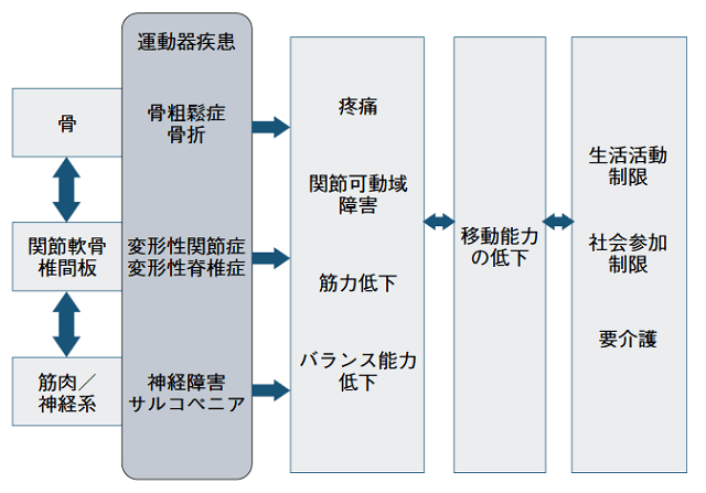 図2：骨・筋肉・軟骨など運動器全体を考慮したロコモティブシンドロームの概念を表す図