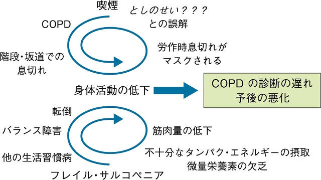 図2：COPDとフレイル・サルコペニアにおける負のサイクルを表す図。