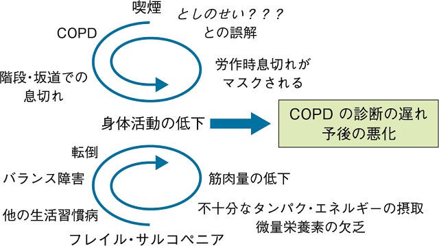 図2:COPDとフレイル・サルコペニアにおける負のサイクルを表す図。