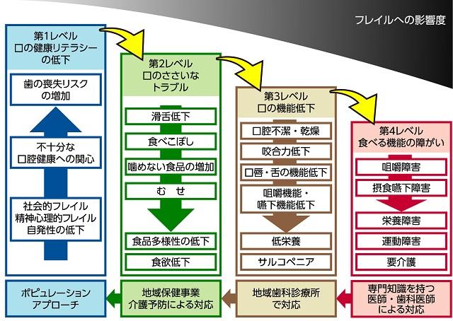 図2、オーラルフレイル概念図を表す図。