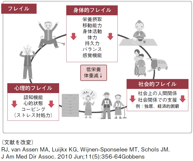 図2:フレイルの概念を示すイラスト。フレイルは身体的フレイル、心理的フレイル、社会的フレイルの多面的な機能低下が含まれていることを示す。