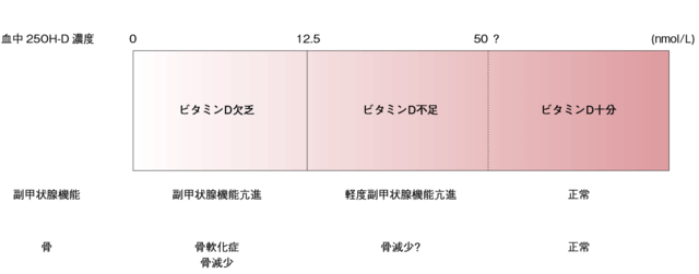 図3:ビタミンD不足の概念図。血中25OH-D濃度が低くなるほど相対的にビタミンDが不足していることを示す。