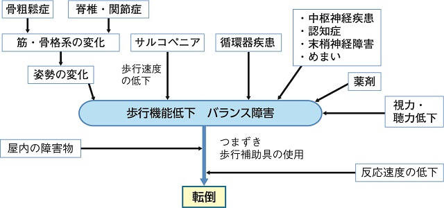 図3：転倒にかかわる多彩な要因を表す図。