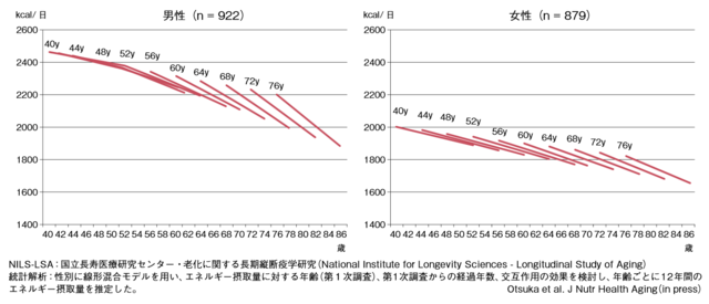 図3:NILS-LSAにおける40歳から79歳男女の12年間のエネルギー摂取量の経年変化を図式化したもの。加齢と共にエネルギー摂取量は減少していくことを示す。
