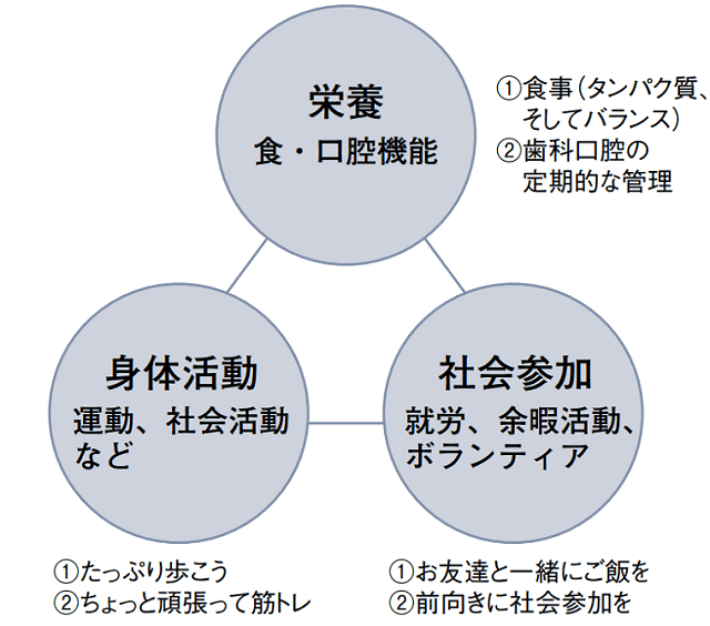 図4A:健康長寿になるための３つの柱をあらわす図。１．栄養、２．身体活動、３．社会参加の３つ柱を包括的に底上げすることで早い時期からサルコペニア・フレイル予防につながる。