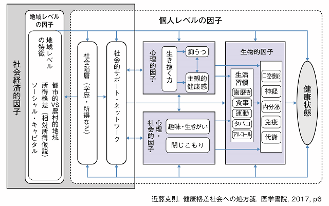 図4：地域環境要因により健康格差が生まれるメカニズムを表す図。