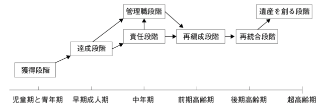 図4:成人の知能発達の段階を示すフローチャート