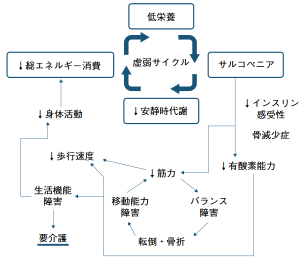 軽度な状態から次第に重度化していく悪循環を表すフレイル・サイクルの図
