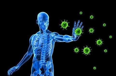 免疫とは何か？ | 健康長寿ネット