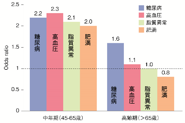 図2:中年期(45歳から65歳)と高齢期(65歳以上)での糖尿病、高血圧、脂質異常、肥満と認知症の発症リスク割合を表した棒グラフ。