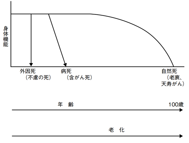 図：天寿がんと自然死を示す図。身体機能が突然無くなる外因子による不慮の死。身体機能が急に衰え死に至る病死（含がん死）。身体機能が加齢・老化とともに緩やかに衰えていき、死に至る自然死（老衰、天寿がん）を表す