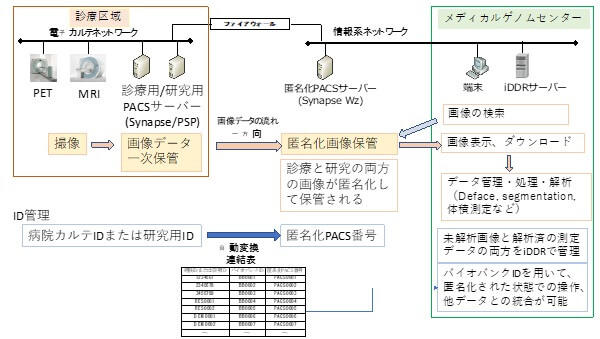 放射線科で保存されている画像データを匿名化し、メディカルゲノムセンターへ転送する流れを表した図