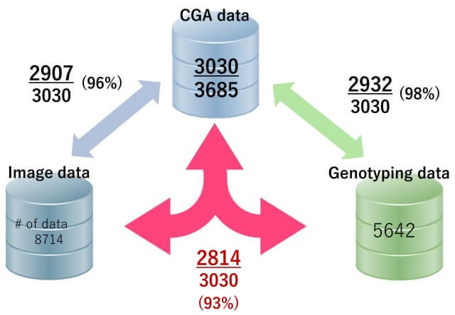 CGAデータ3030例の内訳を表した図