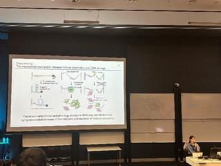 口頭発表の様子を表す写真。